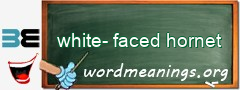 WordMeaning blackboard for white-faced hornet